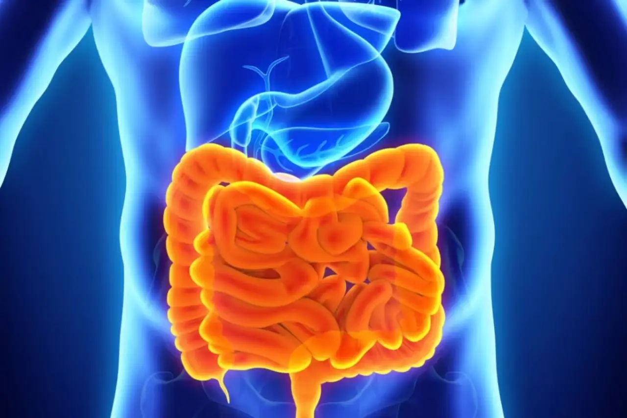 L’abitudine serale che favorisce la digestione L’abitudine serale che favorisce la digestione