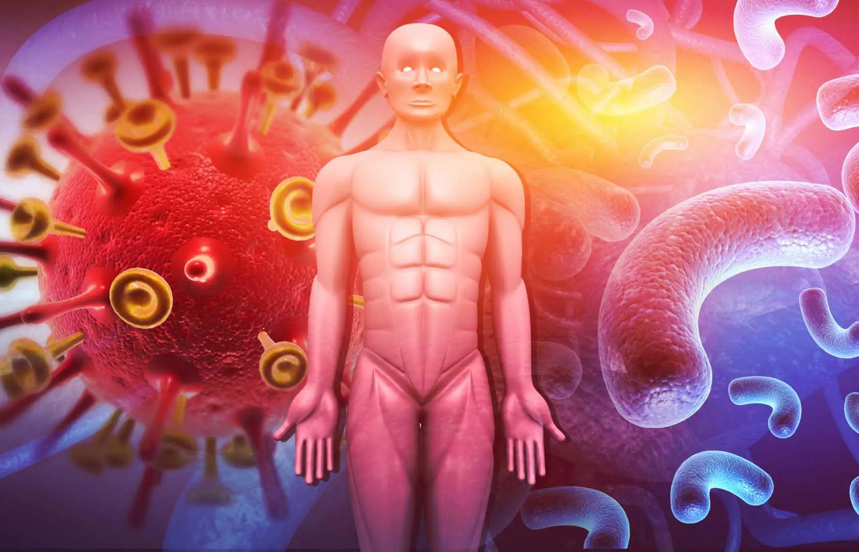 Il frutto che rinforza il sistema immunitario: perfetto in estate Il frutto che rinforza il sistema immunitario: perfetto in estate