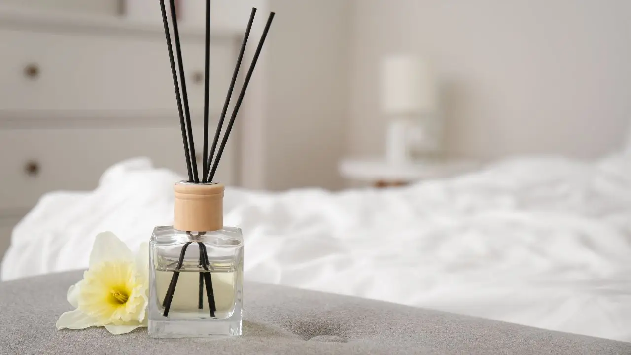 Scopri le soluzioni naturali per profumare casa senza ricorrere a deodoranti chimici Scopri le soluzioni naturali per profumare casa senza ricorrere a deodoranti chimici