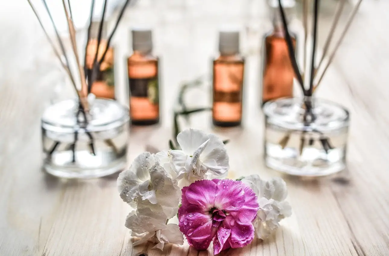 Scopri le soluzioni naturali per profumare casa senza ricorrere a deodoranti chimici Scopri le soluzioni naturali per profumare casa senza ricorrere a deodoranti chimici