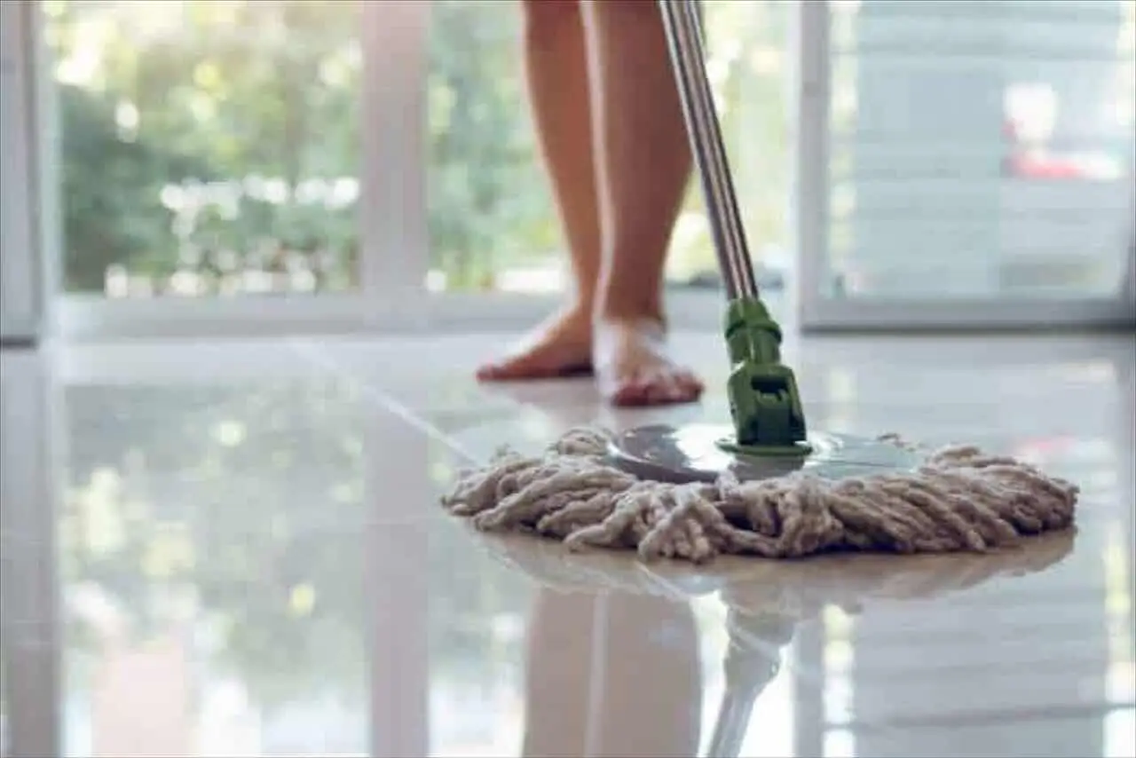 Prova ora i trucchi naturali per pavimenti brillanti e sicuri per i tuoi animali Prova ora i trucchi naturali per pavimenti brillanti e sicuri per i tuoi animali