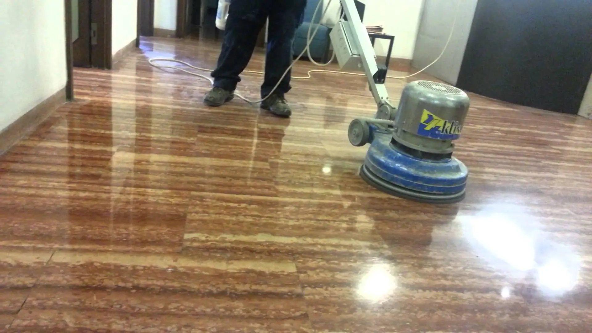 Prova ora i trucchi naturali per pavimenti brillanti e sicuri per i tuoi animali Prova ora i trucchi naturali per pavimenti brillanti e sicuri per i tuoi animali