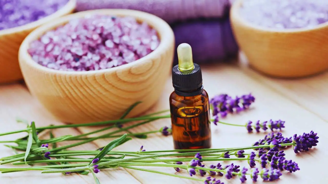 Rendi il bagno splendente con aceto e olio essenziale: più pulito e meno spreco d’acqua Rendi il bagno splendente con aceto e olio essenziale: più pulito e meno spreco d’acqua