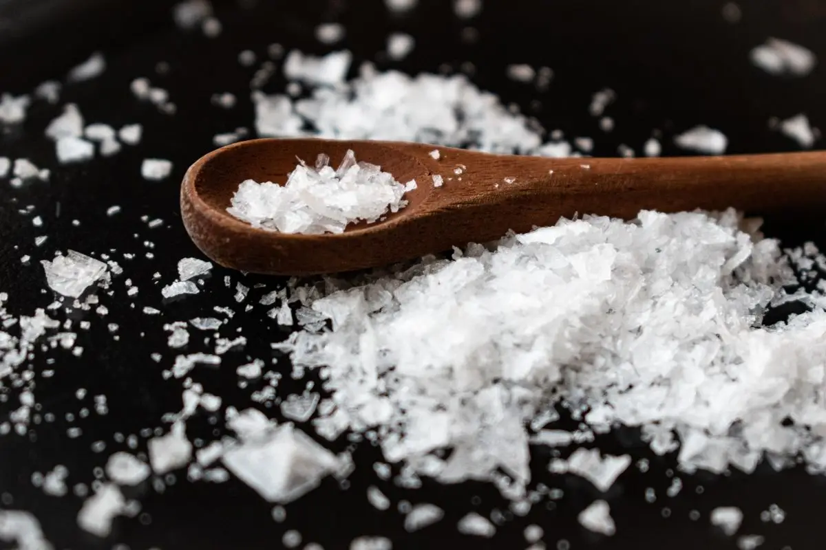 Agisci subito per una cucina più igienica: scopri la forza antimacchia del sale grosso Agisci subito per una cucina più igienica: scopri la forza antimacchia del sale grosso