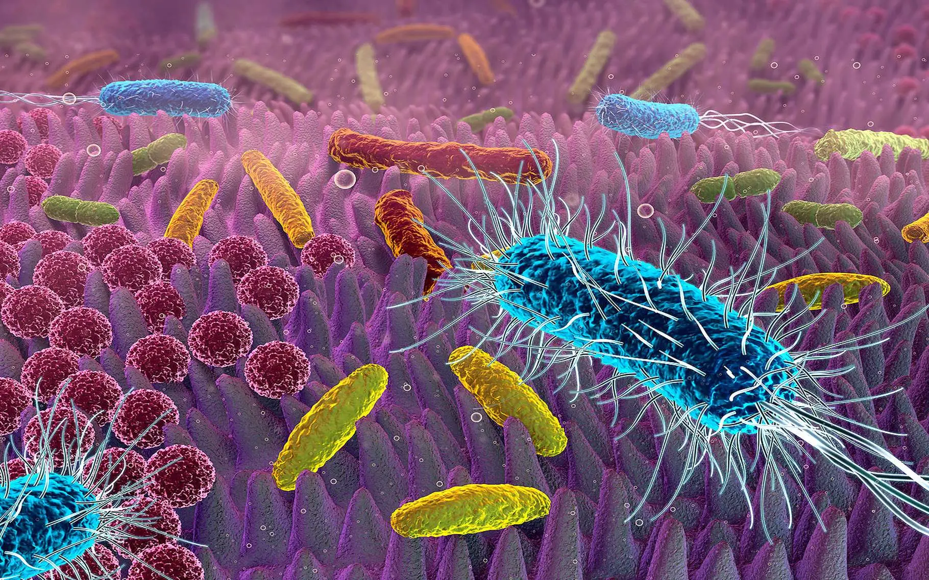 Proteggi ogni superficie dai germi grazie a una miscela di alcool alimentare e tea tree