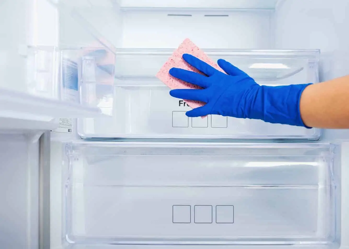 Scopri ora come disinfettare il frigorifero con aceto bianco invece di detergenti forti Scopri ora come disinfettare il frigorifero con aceto bianco invece di detergenti forti