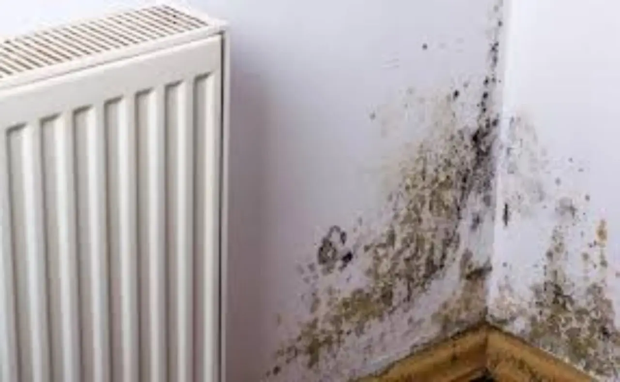 Prevenire muffe in bagno senza candeggina: scopri la tecnica della ventilazione attiva Prevenire muffe in bagno senza candeggina: scopri la tecnica della ventilazione attiva