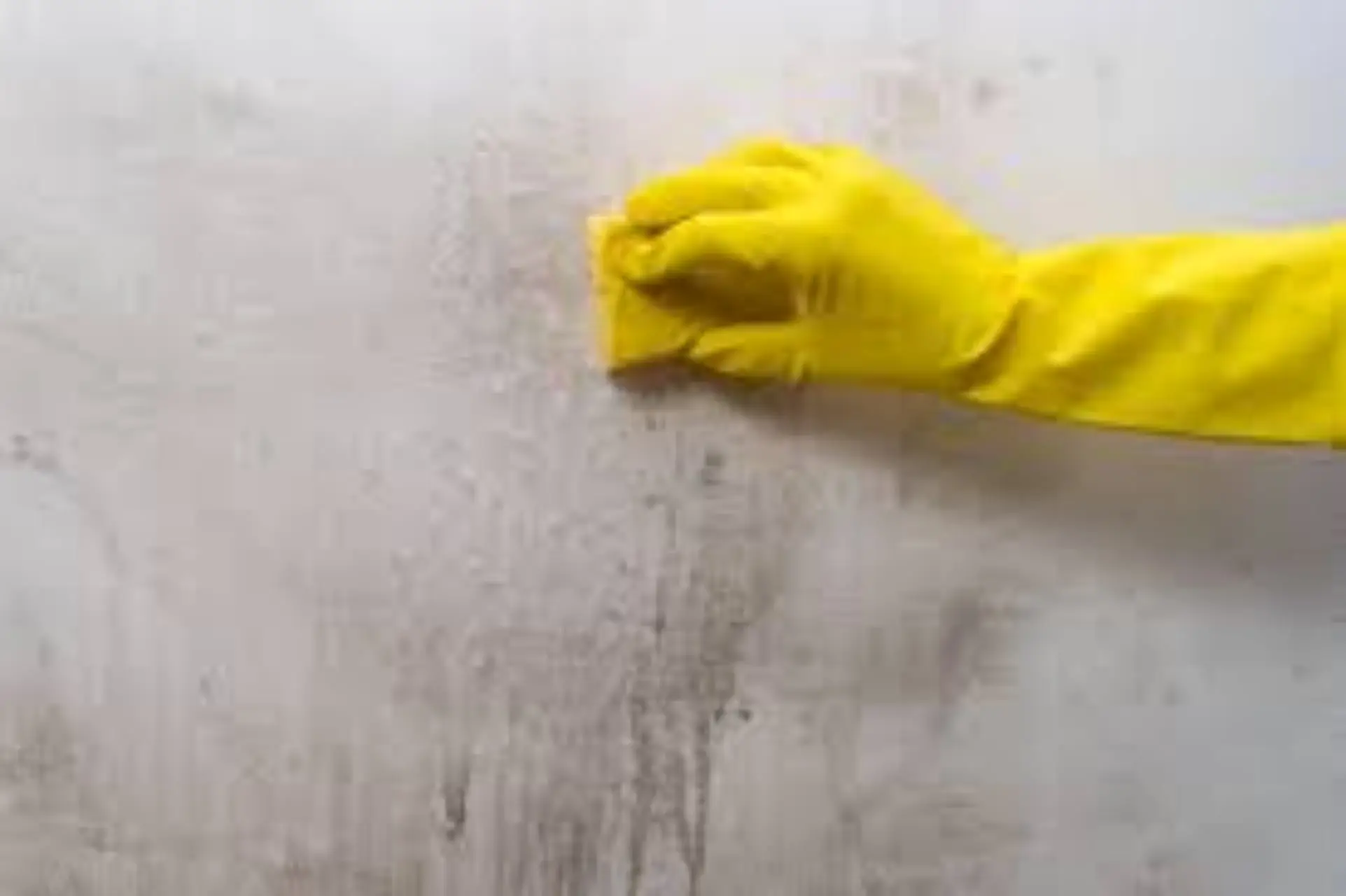 Prevenire muffe in bagno senza candeggina: scopri la tecnica della ventilazione attiva Prevenire muffe in bagno senza candeggina: scopri la tecnica della ventilazione attiva