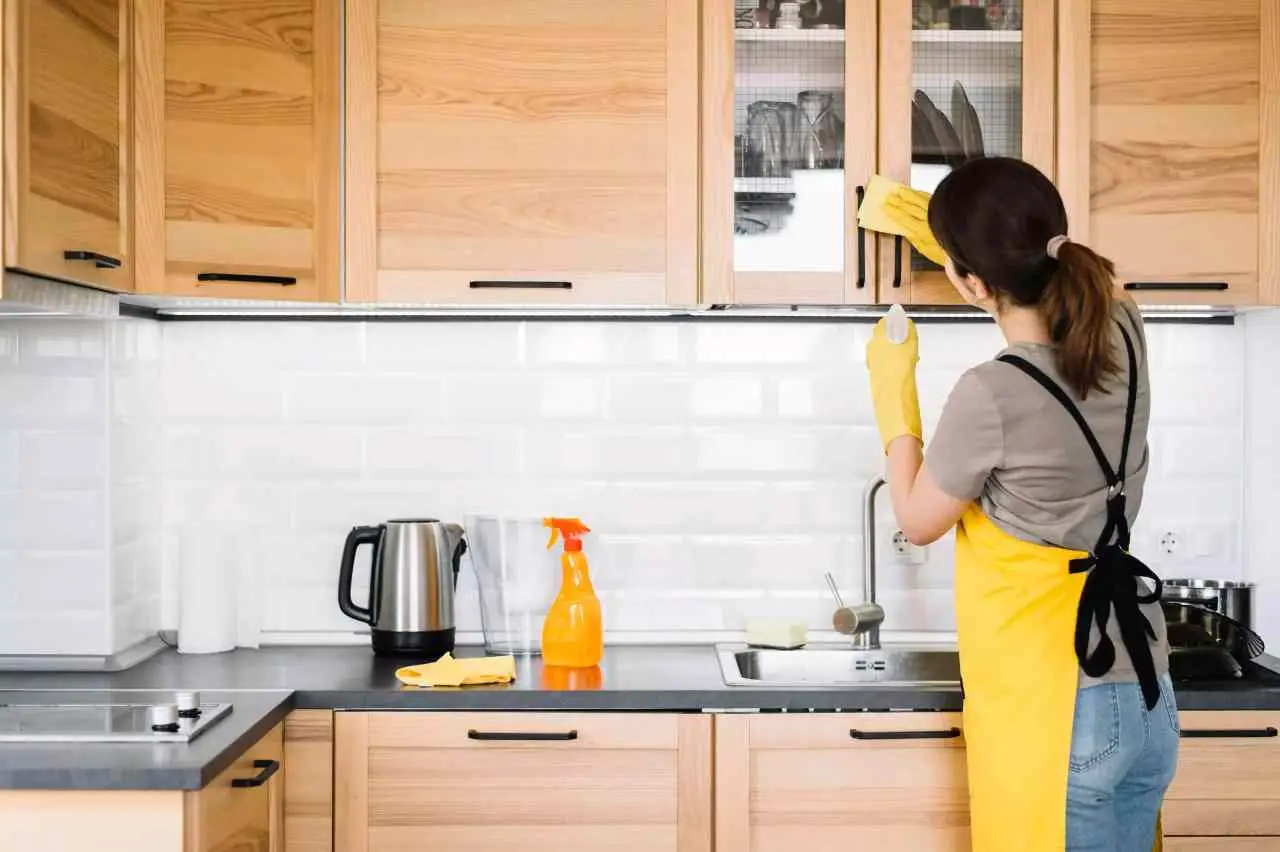 Vuoi zero tossine sulle superfici della cucina? Scegli detergenti naturali autogestiti Vuoi zero tossine sulle superfici della cucina? Scegli detergenti naturali autogestiti