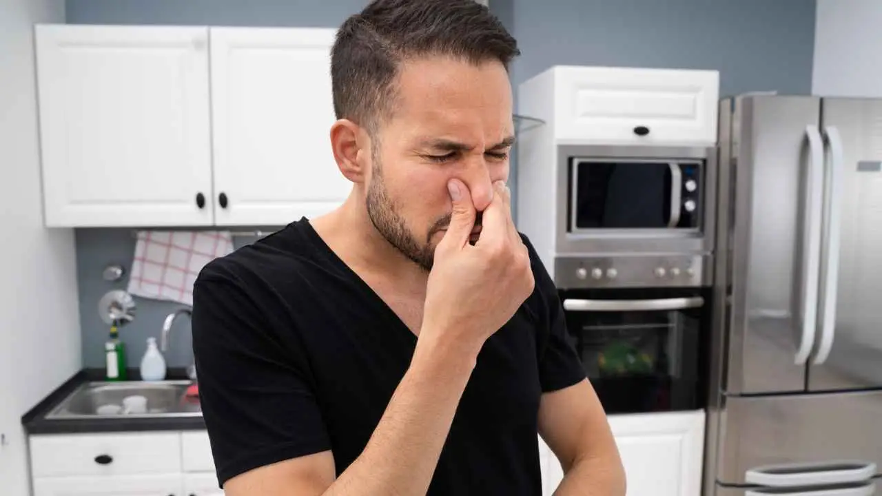Azione diretta: elimina odori e tossine domestiche con metodi naturali provati