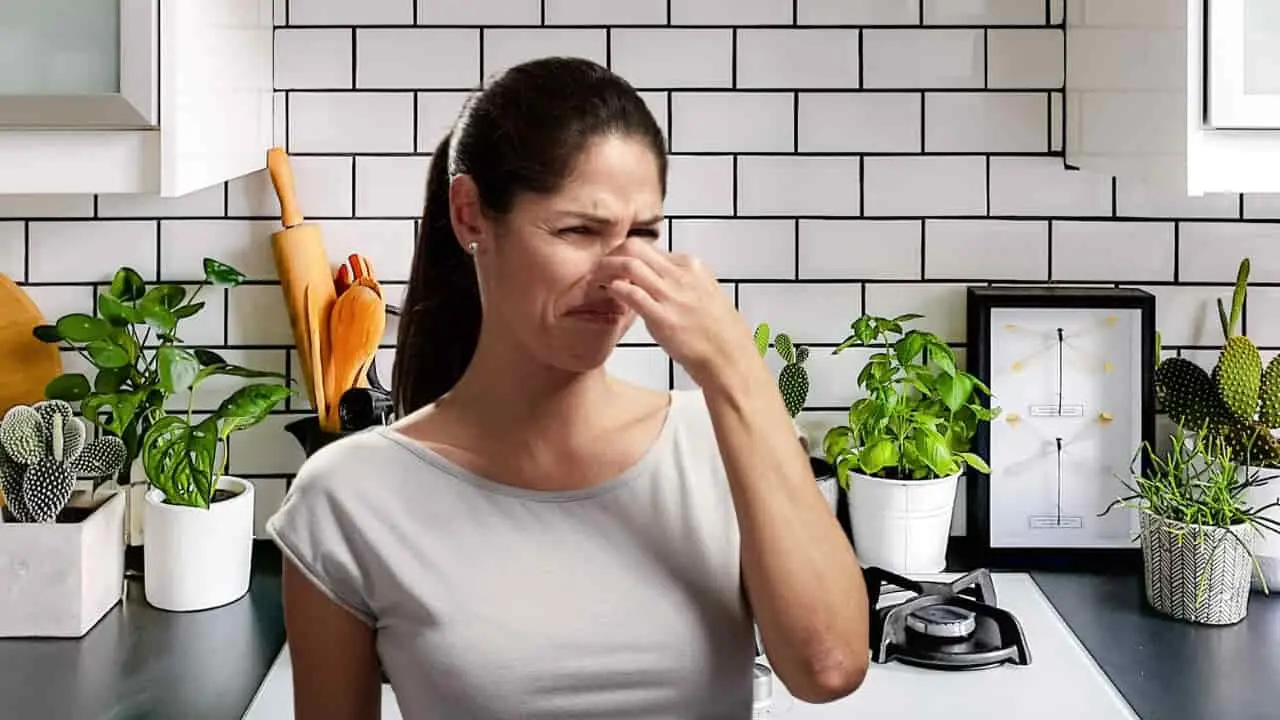 Come eliminare gli odori persistenti in stanza con ingredienti ecologici