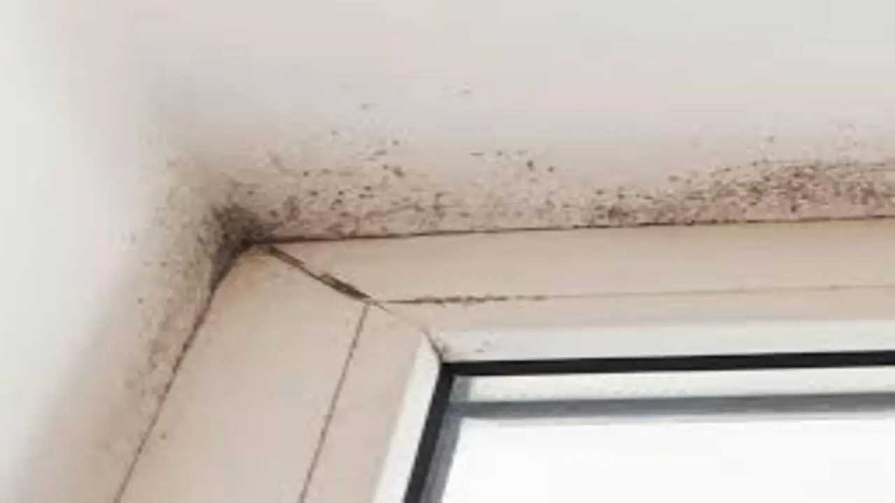 Evita la formazione di umidità in camera con rimedi sostenibili fai da te