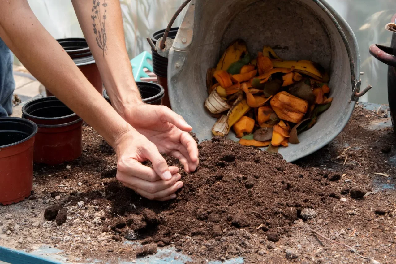 Preparare il compost perfetto: i rifiuti domestici che danno più nutrimento al prato