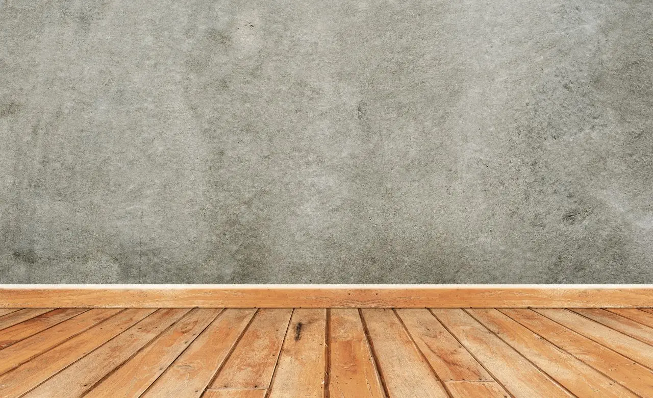 Scopri quali insetti si nascondono sotto il battiscopa di casa e perché è importante riconoscerli