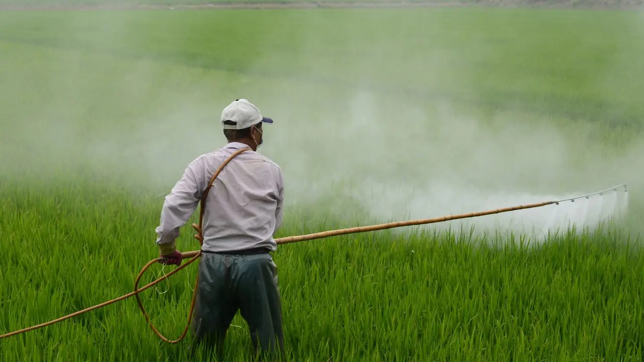 Il segreto dei contadini per tenere lontani gli insetti senza prodotti chimici Il segreto dei contadini per tenere lontani gli insetti senza prodotti chimici