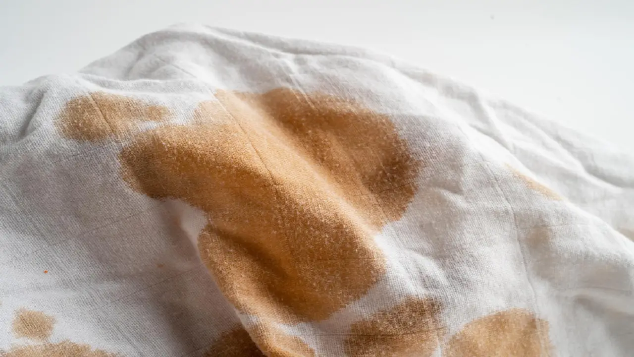 Hai mai usato il latte per smacchiare i tessuti? Ecco la procedura passo passo Hai mai usato il latte per smacchiare i tessuti? Ecco la procedura passo passo