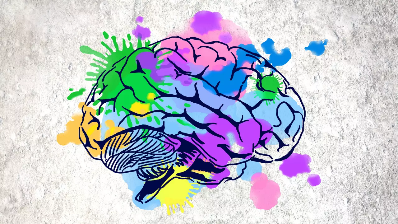 Partecipa alle nuove attività creative per stimolare memoria e intelligenza emotiva Partecipa alle nuove attività creative per stimolare memoria e intelligenza emotiva