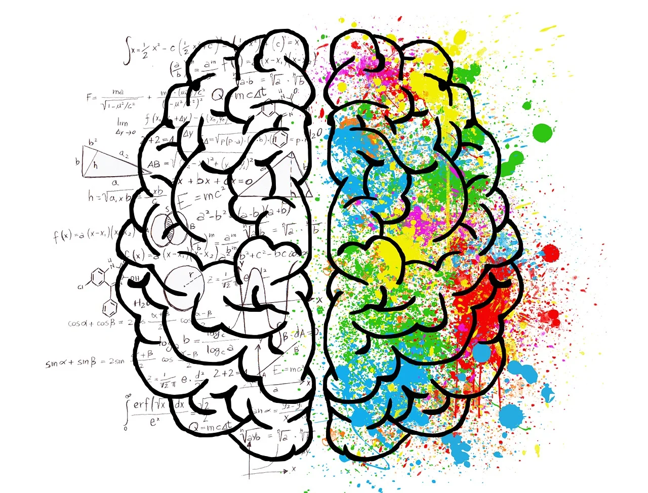 Partecipa alle nuove attività creative per stimolare memoria e intelligenza emotiva Partecipa alle nuove attività creative per stimolare memoria e intelligenza emotiva
