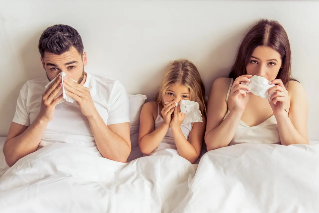Scopri ora i migliori rimedi naturali per eliminare gli allergeni nascosti in camera Scopri ora i migliori rimedi naturali per eliminare gli allergeni nascosti in camera