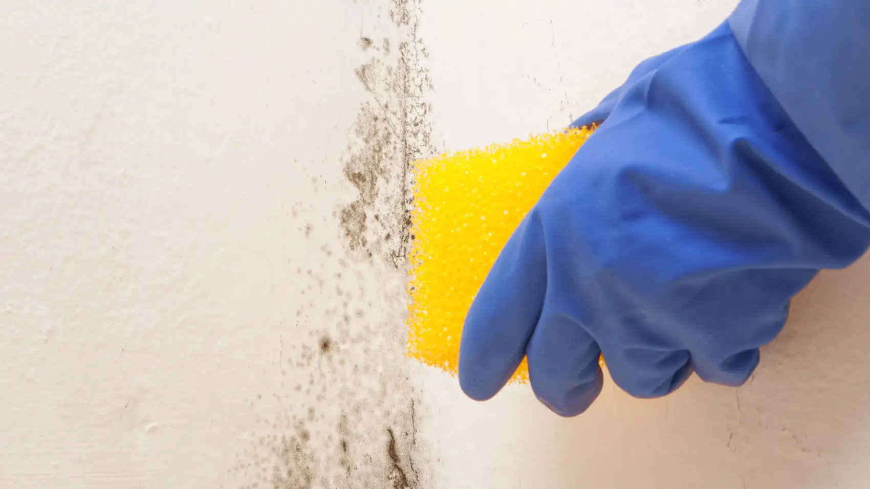 Azione immediata contro muffa e polveri: come prevenire rischi senza sostanze chimiche Azione immediata contro muffa e polveri: come prevenire rischi senza sostanze chimiche