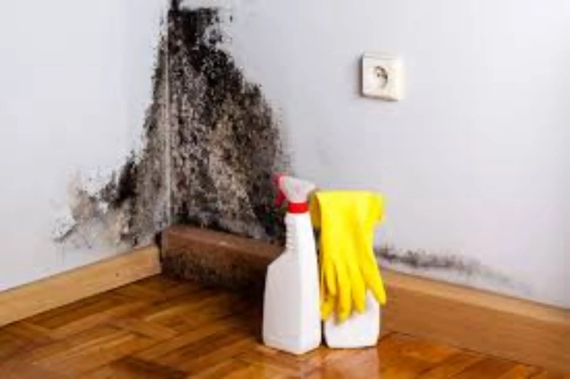 Azione immediata contro muffa e polveri: come prevenire rischi senza sostanze chimiche Azione immediata contro muffa e polveri: come prevenire rischi senza sostanze chimiche