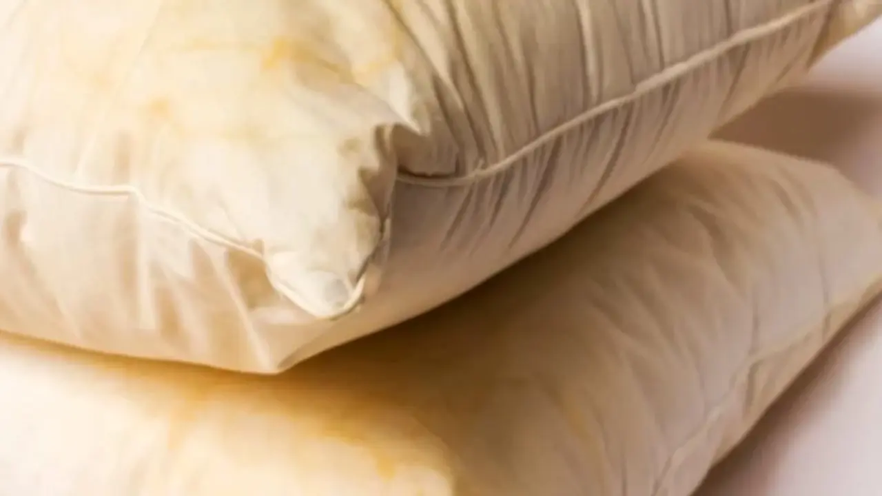 Hai mai provato i cuscini ipoallergenici naturali? Benefici reali per il sonno sereno Hai mai provato i cuscini ipoallergenici naturali? Benefici reali per il sonno sereno