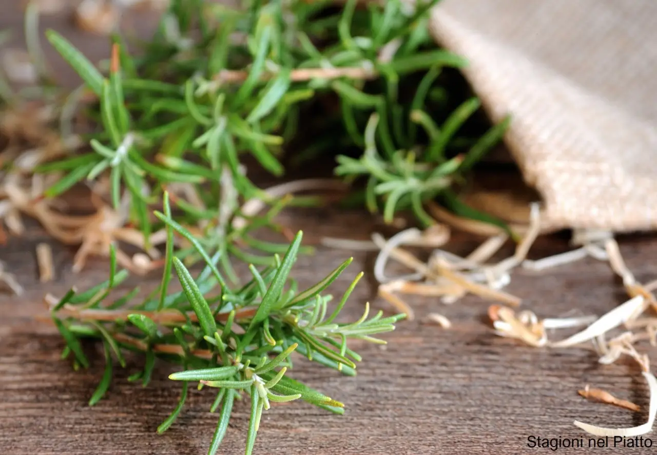 Scopri come purificare l’aria di casa con piante aromatiche che eliminano allergeni Scopri come purificare l’aria di casa con piante aromatiche che eliminano allergeni