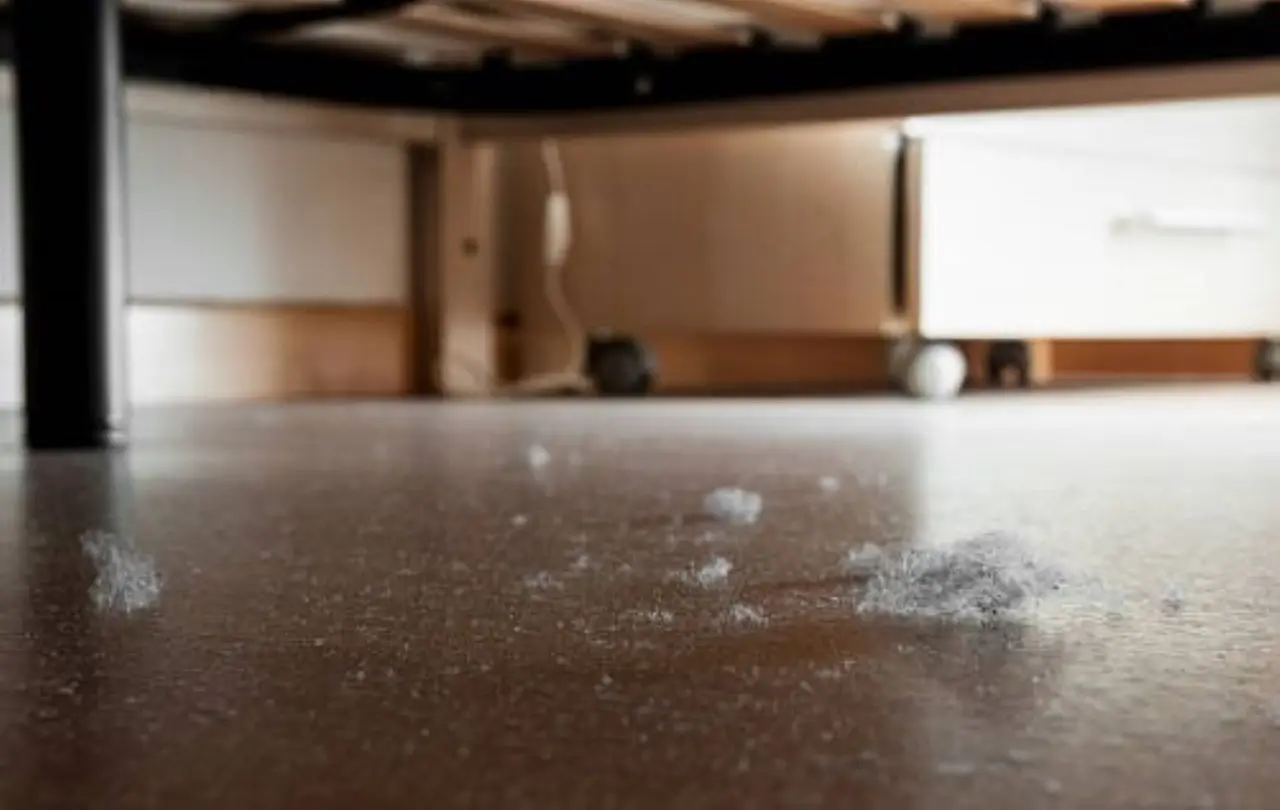 Scopri come eliminare polveri e allergeni dalla camera usando il bicarbonato Scopri come eliminare polveri e allergeni dalla camera usando il bicarbonato