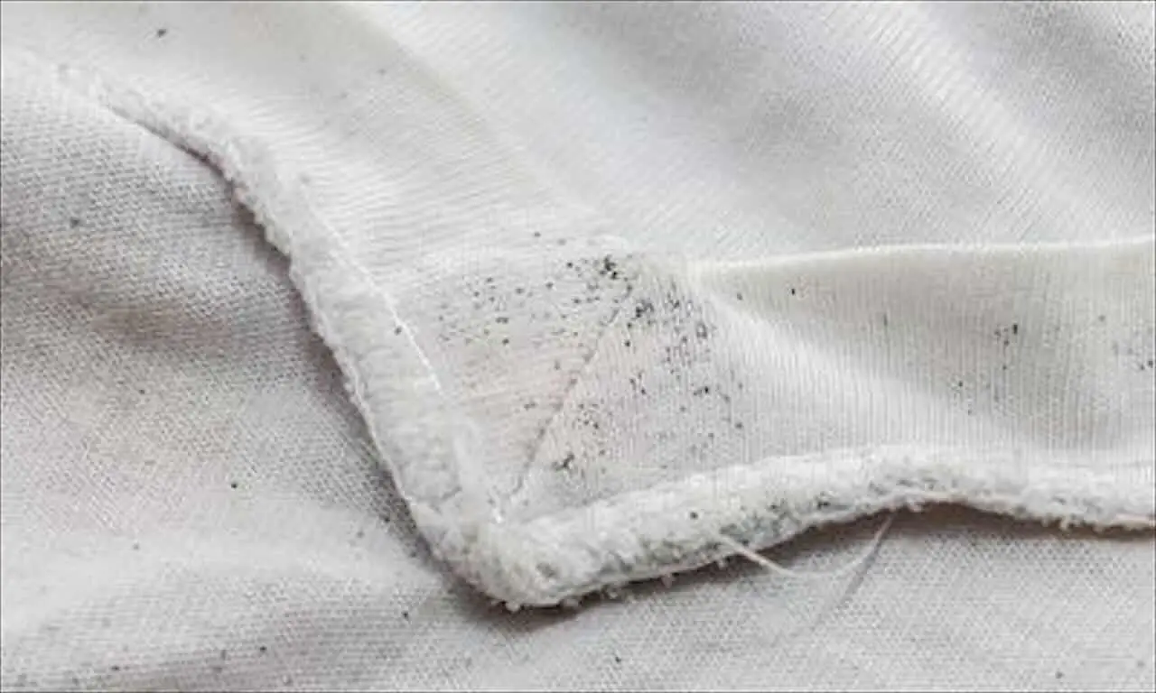 Puoi proteggere la tua famiglia dagli acari con un rimedio naturale e senza rischi Puoi proteggere la tua famiglia dagli acari con un rimedio naturale e senza rischi