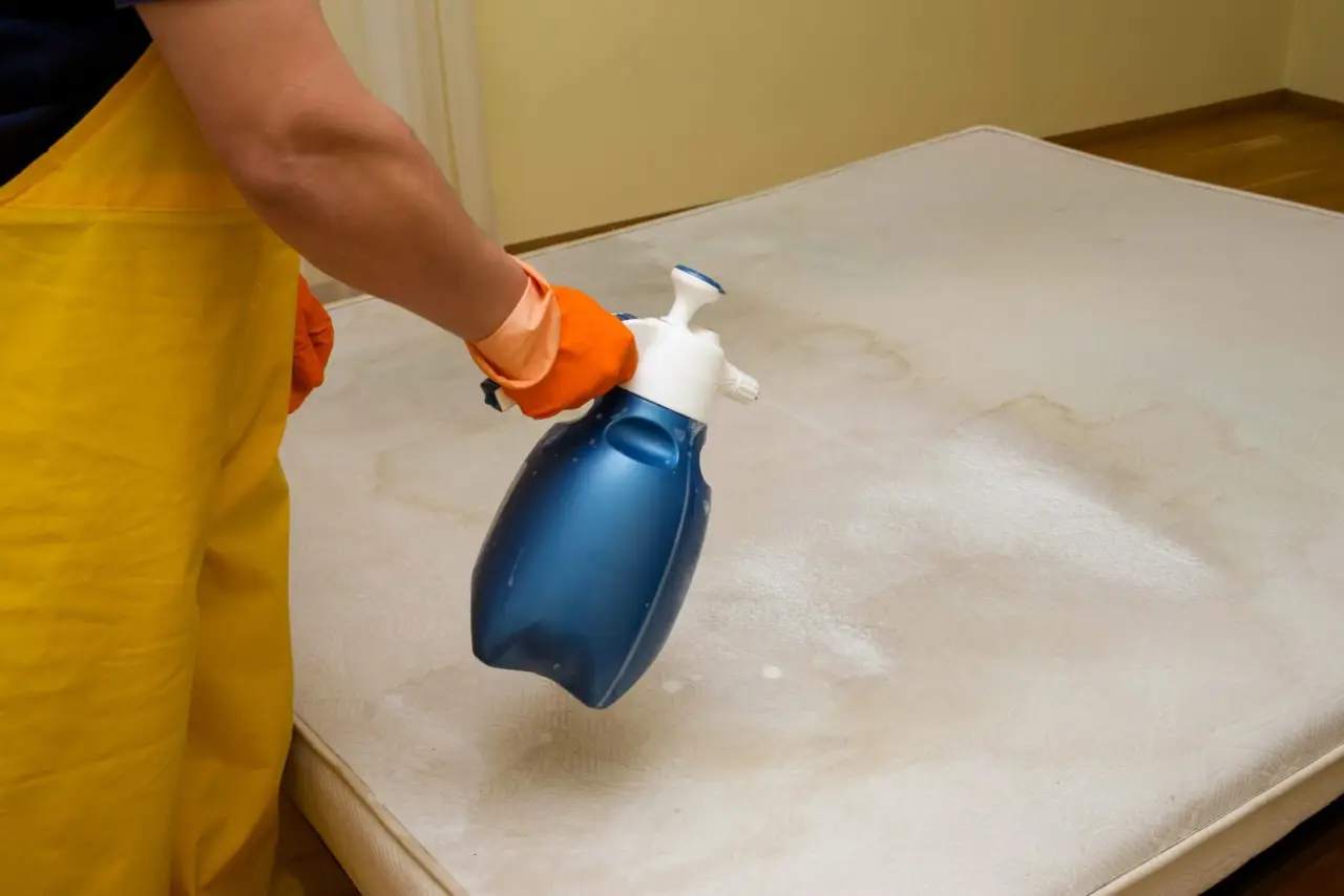 Non trascurare il materasso: ecco come igienizzare con ingredienti vegetali semplici Non trascurare il materasso: ecco come igienizzare con ingredienti vegetali semplici